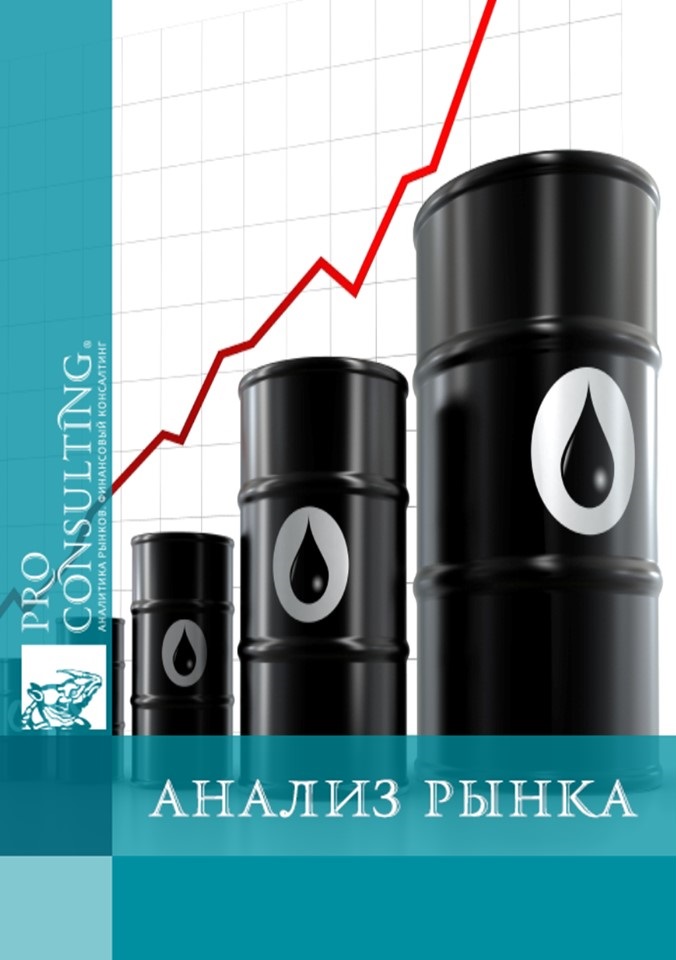 Анализ рынка нефти и нефтепродуктов Турции. 2014 год